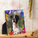 Search for dates pet supplies Dogs