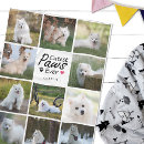 Search for pet dog quotes blankets Photo collage