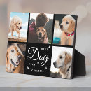 Search for pet bereavement gifts Remembrance