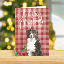 Search for bernese mountain dog christmas cards Cute
