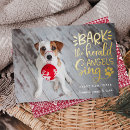 Search for singing dog christmas cards Funny