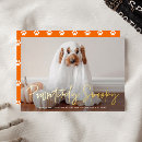 Search for funny cat image cards Cute