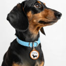 Search for dachshund dog tags Doxie