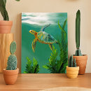 Search for turtle art Nature