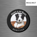 Search for memory image magnets Pet