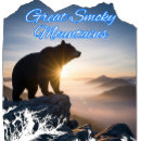 Search for black bear tshirts Usa