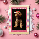 Search for cute pets cards Pet photo