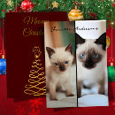 Search for siamese christmas cards Cat