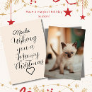 Search for siamese cats cards Cute
