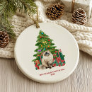 Search for ragdoll cat christmas tree decorations Pet