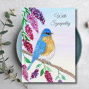 Search for bluebird cards Watercolor