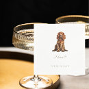 Search for cocker Cocker spaniel