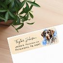 Search for german shorthaired pointer return address labels Gsp