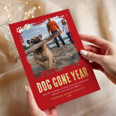 Search for dog sayings christmas cards From the dog