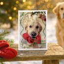 Search for pet lover christmas cards Simple