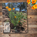 Search for brilliant photography Floral