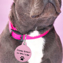 Search for funny dog tags Pink