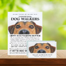 Search for dog walker advertising Animal care