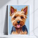 Search for yorkshire terrier posters Dog