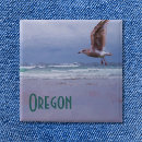Search for gull badges Flight