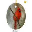 Search for cardinal painting christmas tree decorations Bird