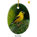 Search for painting oval christmas tree decorations Nature