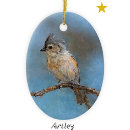 Search for tufts christmas tree decorations Nature