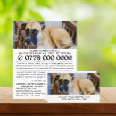 Search for pet sitting marketing materials Animal care