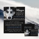 Search for huskies business cards Animals