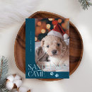 Search for santa paws christmas cards Dog photo