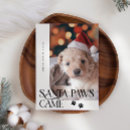 Search for white dog christmas cards Black and white