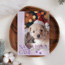 Search for santa paws christmas cards Dog photo
