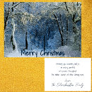 Search for vintage winter scene christmas cards Elegant