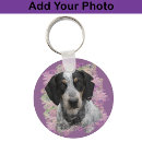 Search for bluetick coonhound Cute