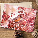 Search for robin cards Pretty