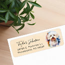 Search for maltese return address labels Dog