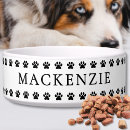 Search for classic pet supplies Create your own