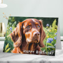 Search for dog lover birthday cards Breed