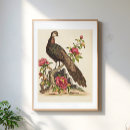 Search for peacock posters Pink