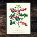 Search for elegant heart postcards Floral