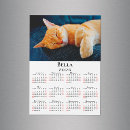 Search for red cat Simple