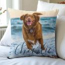 Search for christmas dog cushions Modern