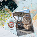 Search for cool cat cards Funny