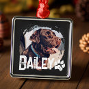 Search for holiday pet memorial christmas tree decorations Remembrance memento keepsake