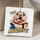 Search for cat lover christmas tree decorations Create your own