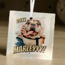 Search for puppy christmas tree decorations Create your own
