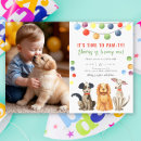 Search for dog birthday invitations Paw ty