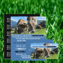 Search for cow business cards Farmers
