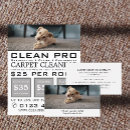Search for carpet business cards Vacuum cleaner