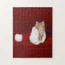 Search for santa claus puzzles Cat